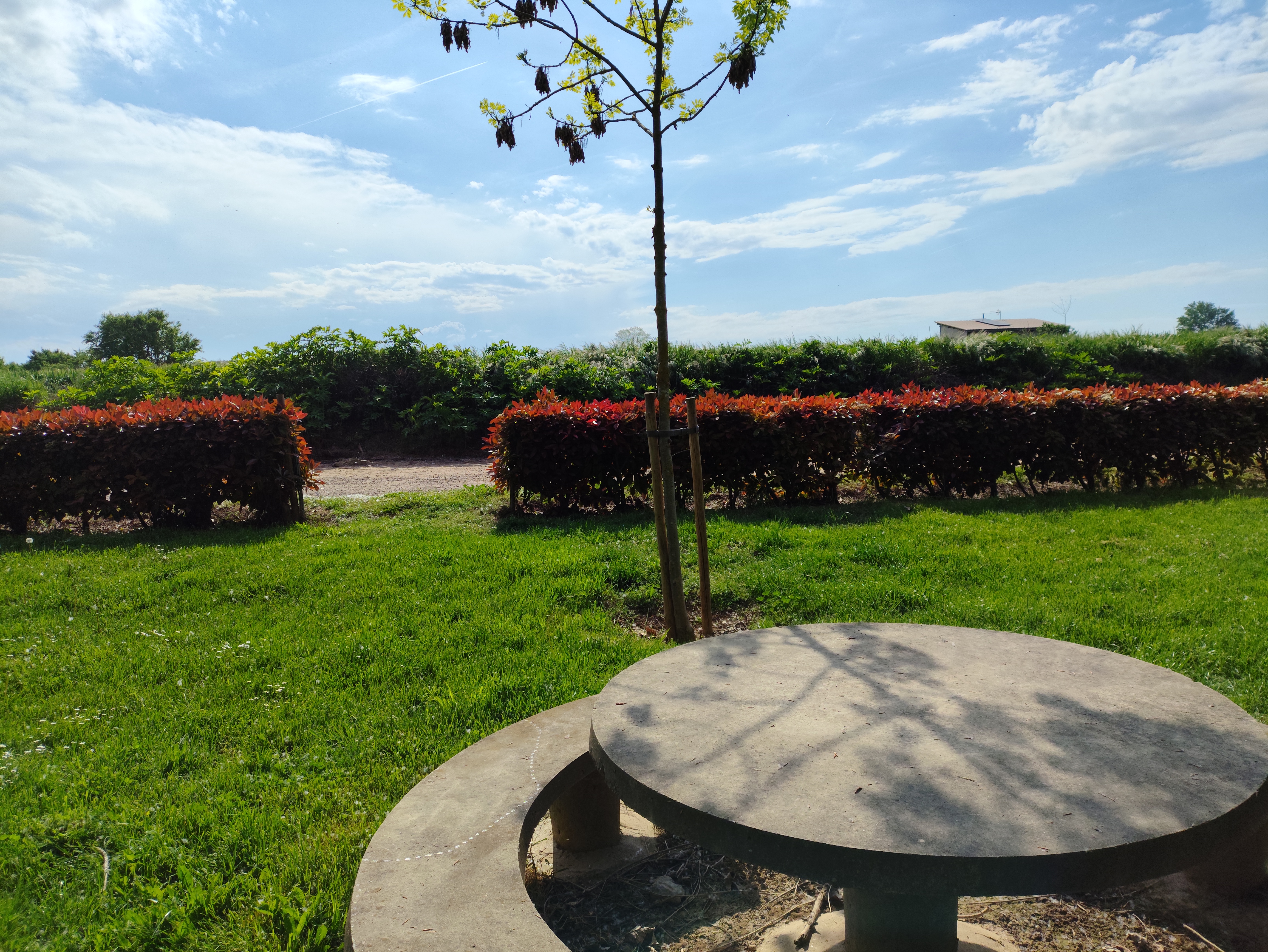 Parque Las Fuentes: Camino