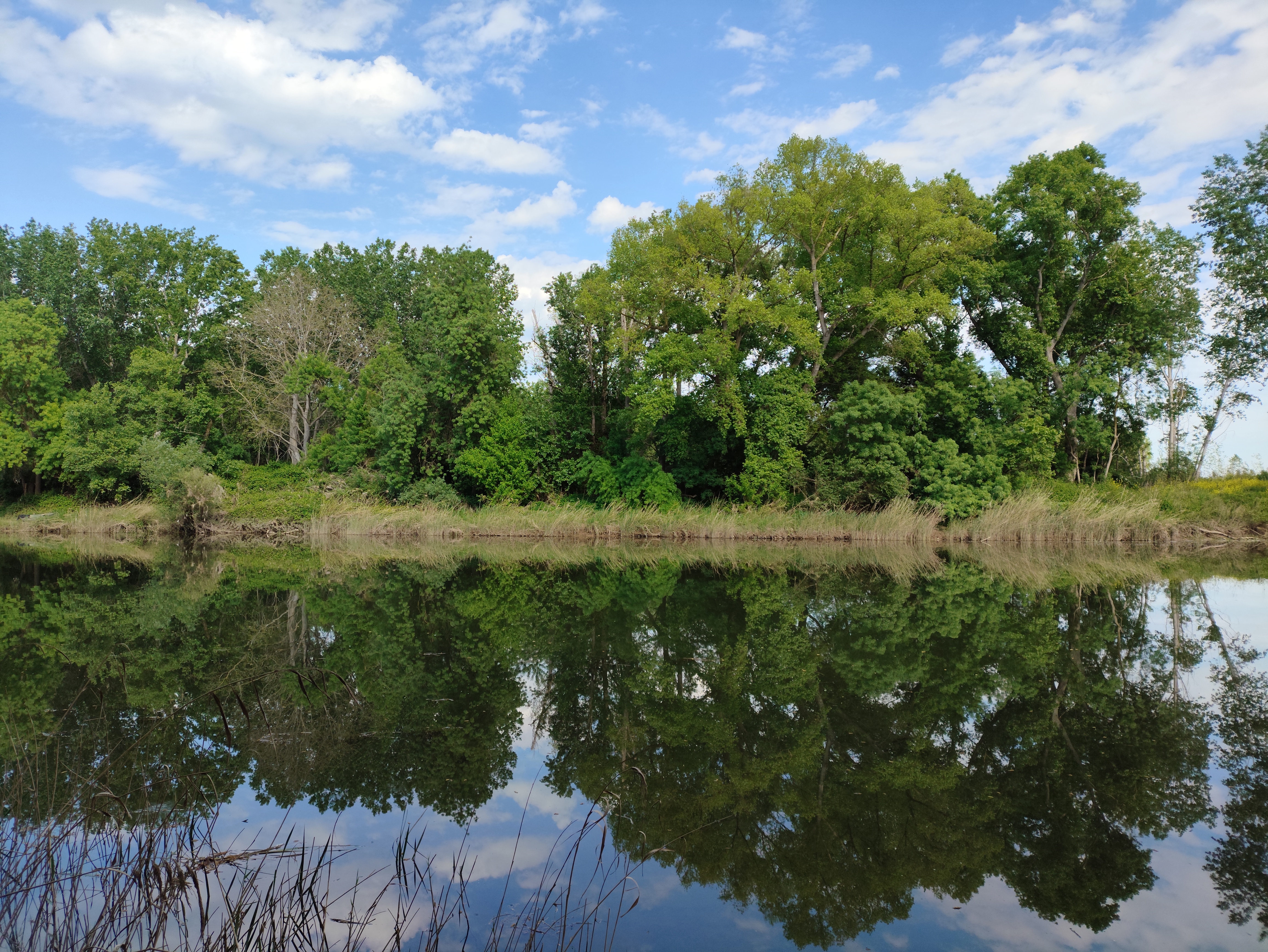 Parque Las Fuentes: Río Ebro