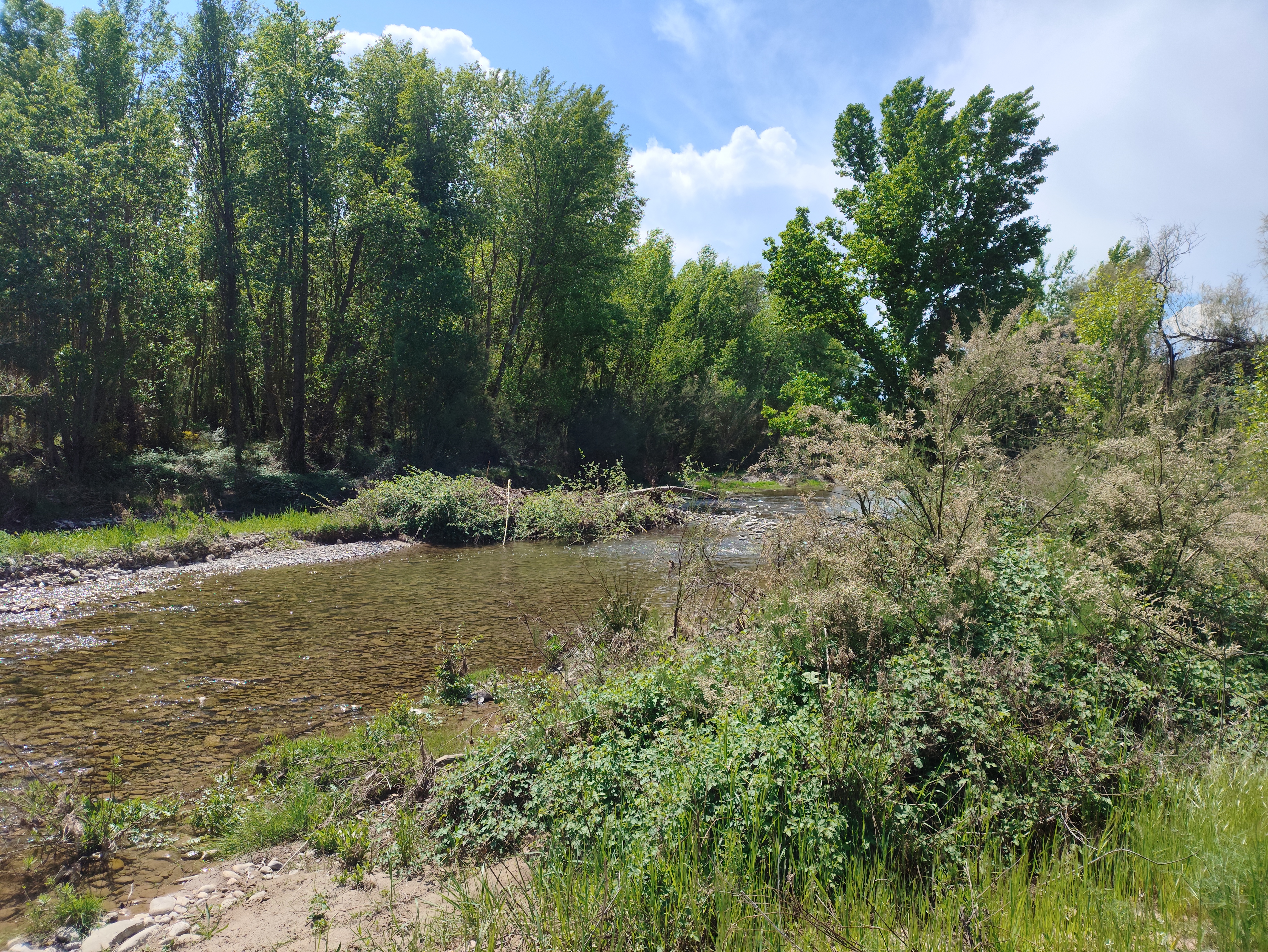 La Veguilla . Río