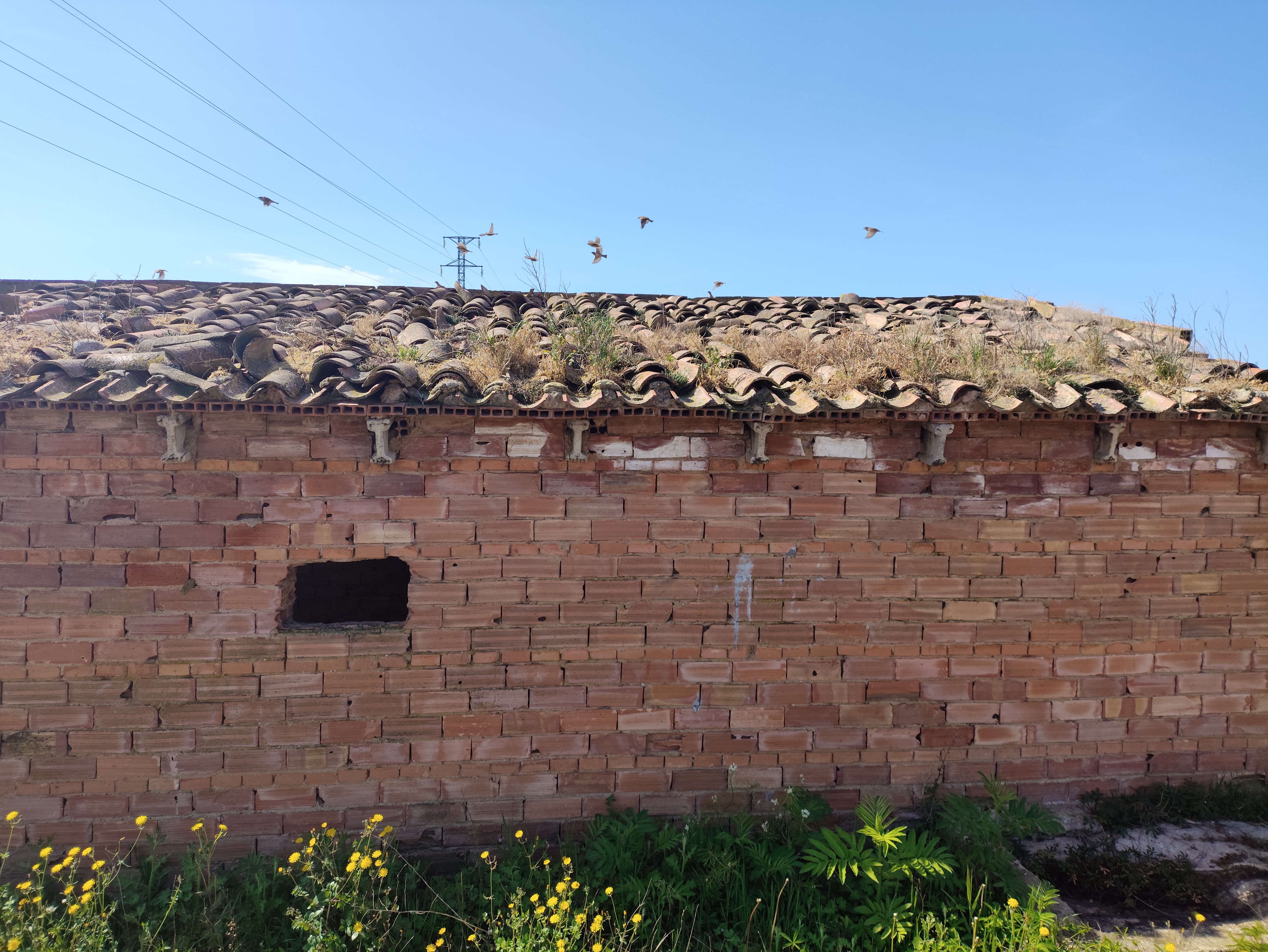 Caseta el Plantío - Frontal